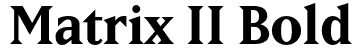 Matrix II Bold Font: Free Download | MaisFontes