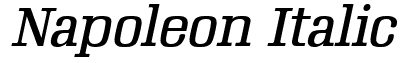 Napoleon Italic Font: Free Download | MaisFontes