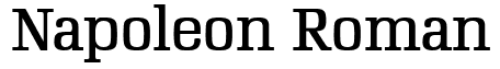 Napoleon Roman Font: Free Download | MaisFontes