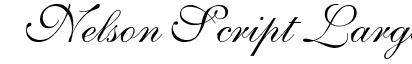 Nelson Script Large: Free Font Download | MaisFontes