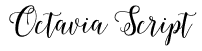 Octavia Script Font: Free Download | MaisFontes